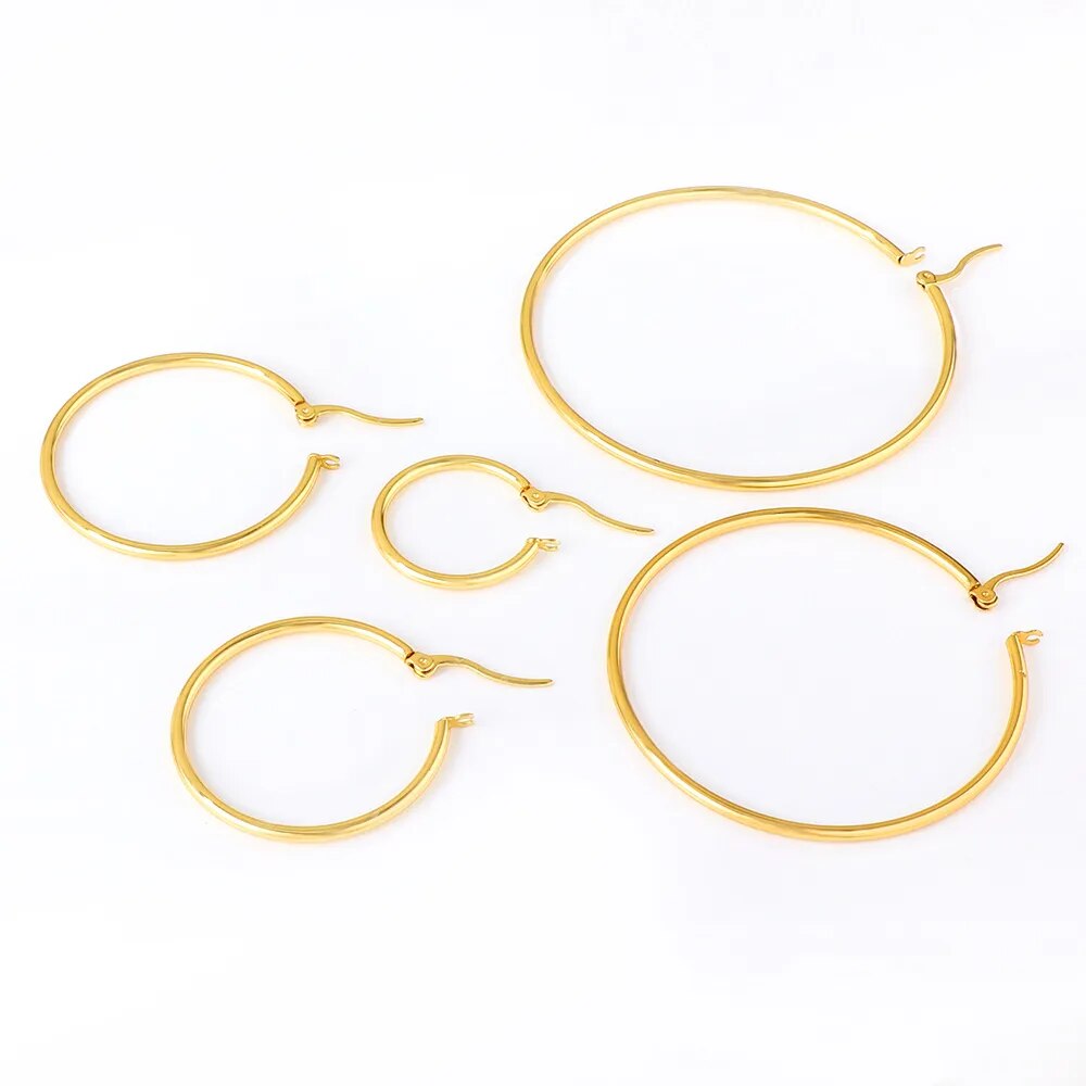 Stainless Steel Hoop Earrings