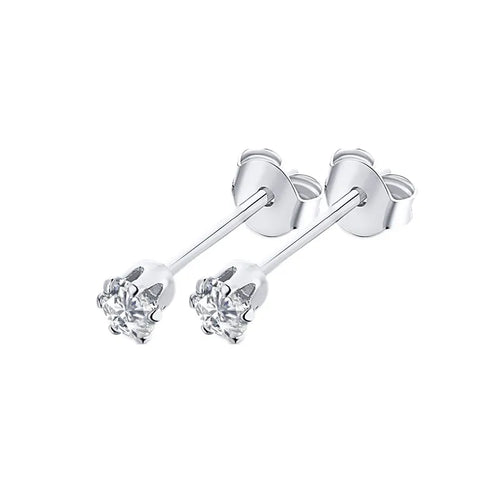 Stainless Steel Earrings